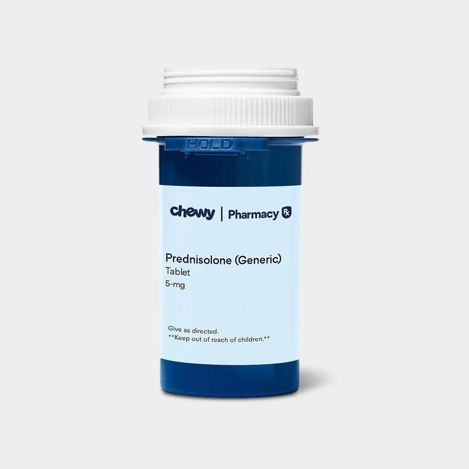 Image showcasing Cat Pain Relief & Arthritis - Free shipping | Chewy