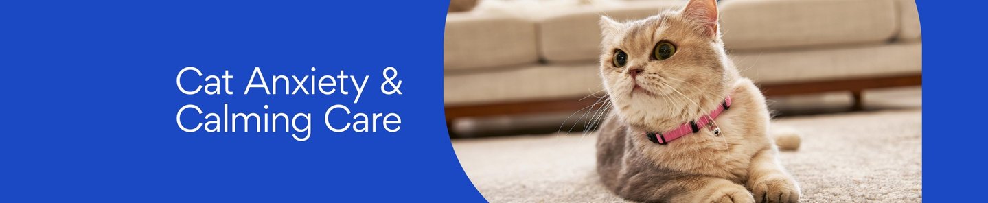 Cat Anxiety & Calming Care - Free shipping | Chewy