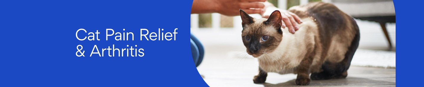 Image showcasing Cat Pain Relief & Arthritis - Free shipping | Chewy