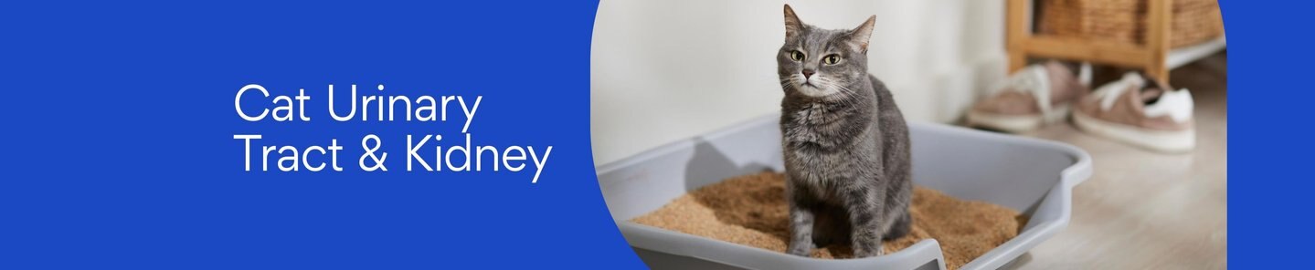 Cat Urinary Tract & Kidney Care - Free shipping | Chewy