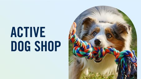 Dog Supplies Best Dog Puppy Products Free Shipping Chewy