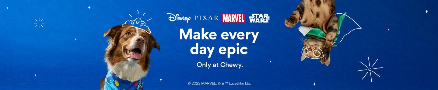 Bring on epic fun. Find your bestie's new pal, only at Chewy.