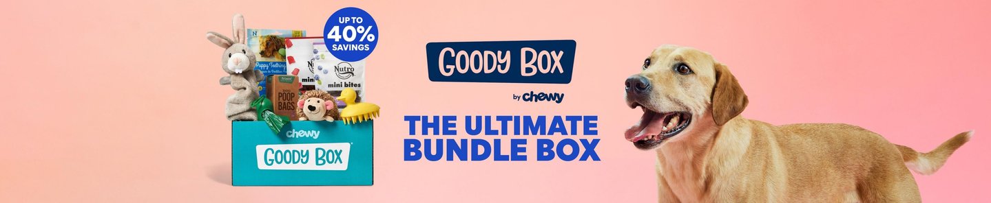 Dog goody box best sale