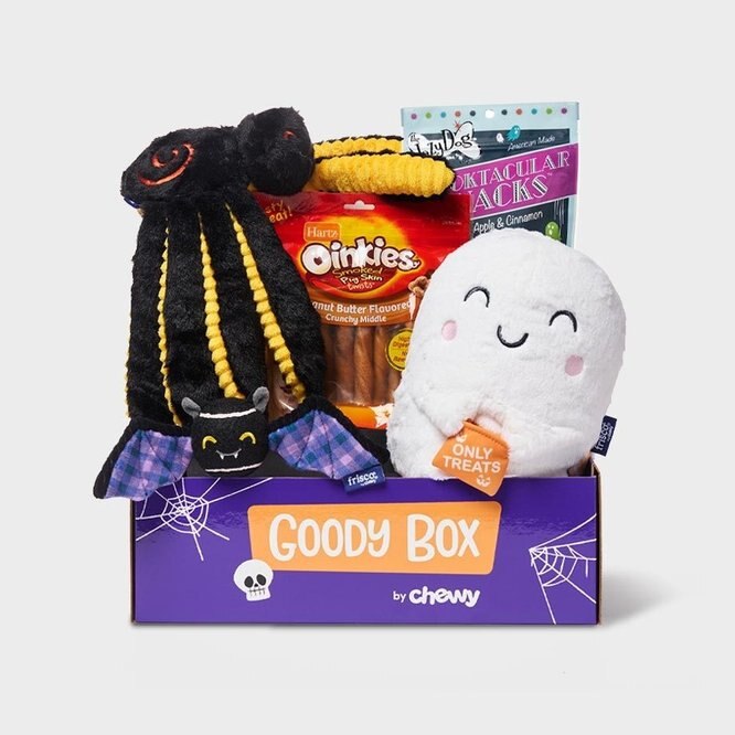 Goody Box Halloween Dog Toys & Treats, Medium/Large