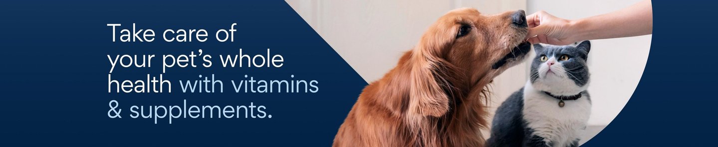 Take care of your pet's whole health with vitamins & supplements