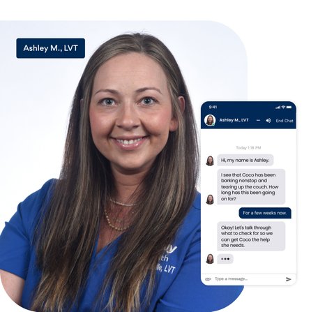 You can chat with a Chewy veterinary professional like Ashley M., who is a licensed veterinary technician