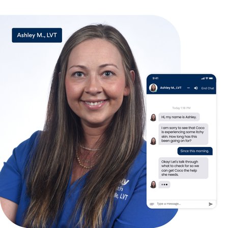 You can chat with a Chewy veterinary professional like Ashley M., who is a licensed veterinary technician