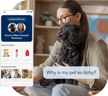 Why is my pet so itchy?