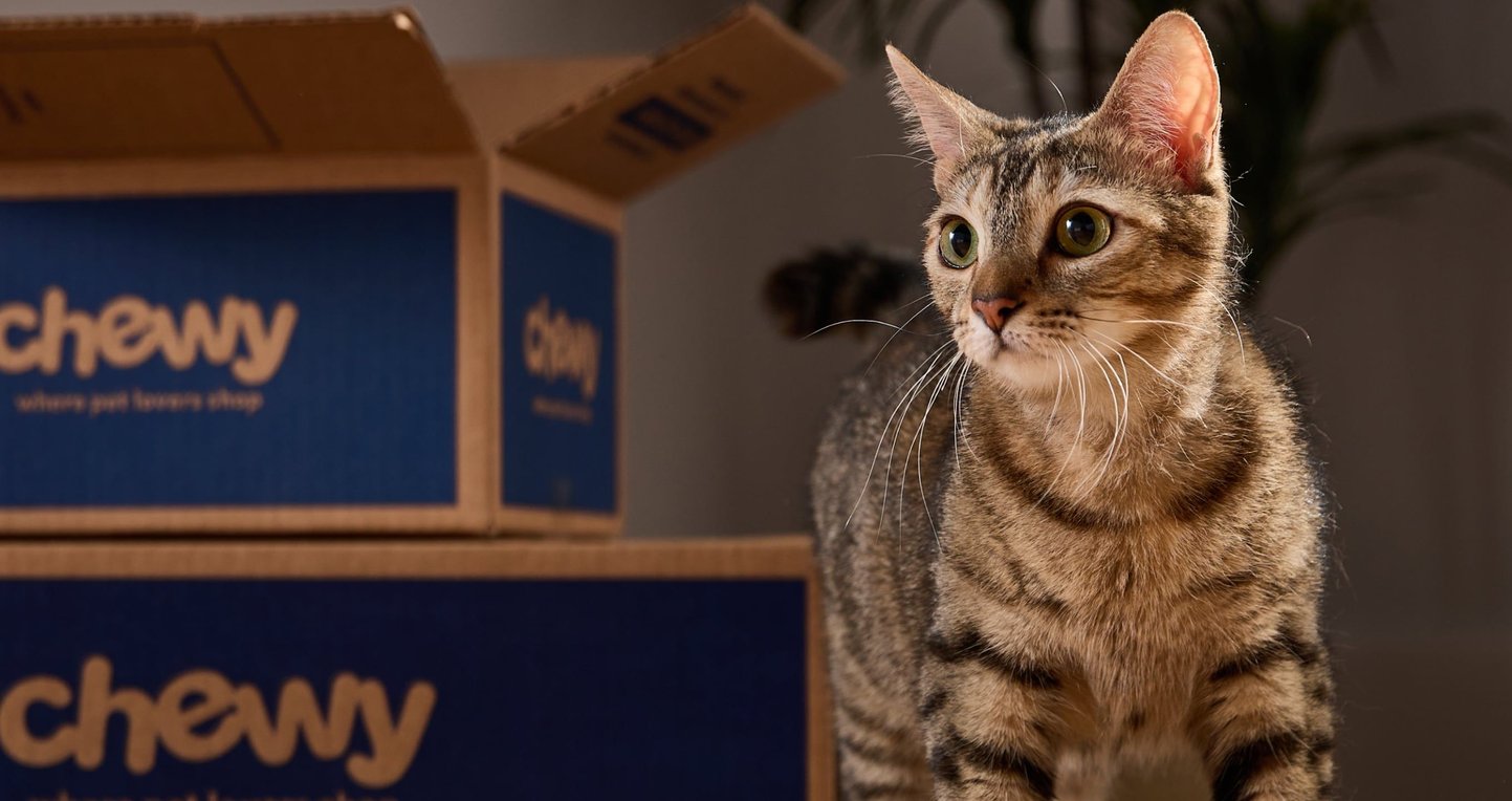 Best Dry Cat Food Top Brands, Low Prices (Free Shipping) Chewy