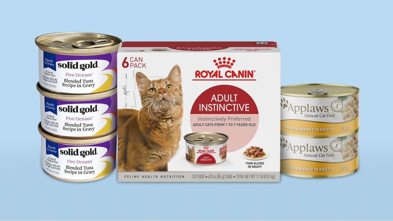 Wet Cat Food (Free Shipping) | Chewy