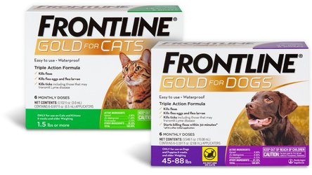 Chewy frontline gold best sale