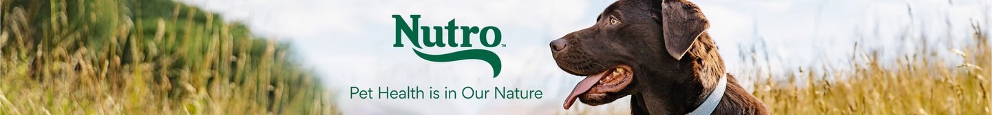 Stunning Chewy Nutro Dog Food Photo Concept Stunning Chewy Nutro Dog Food Photo Concept