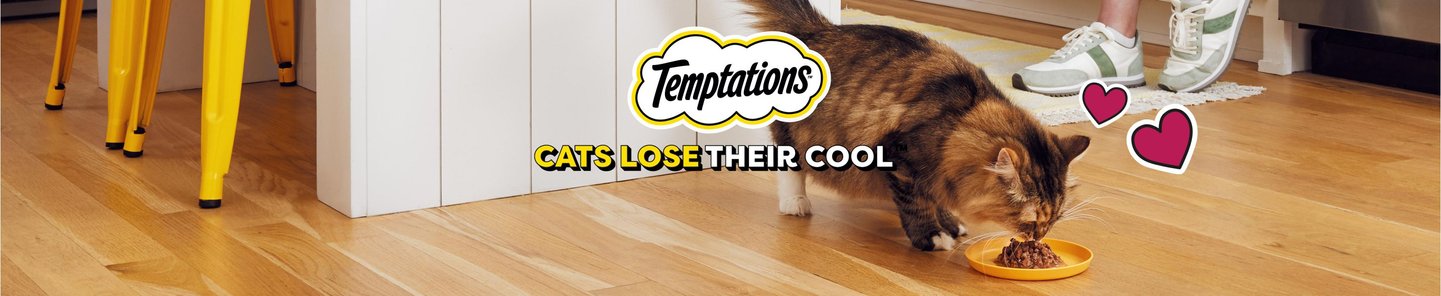 temptations cats lose their cool
