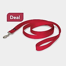 dog-deals-leashes