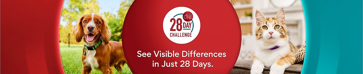 PurinaONE 28 Day Challenge. See Visible Differences in Just 28 Days.