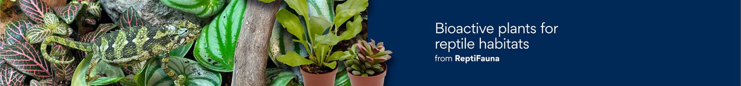 Bioactive plants for reptile habitats from reptifauna