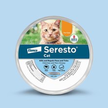 Chewy seresto cat best sale