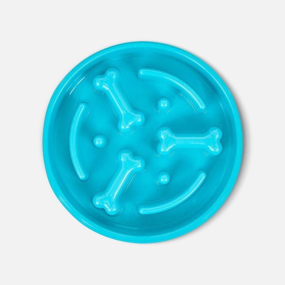 Image showcasing SMALL BREED DOG BOWLS & FEEDERS (Free Shipping) | Chewy