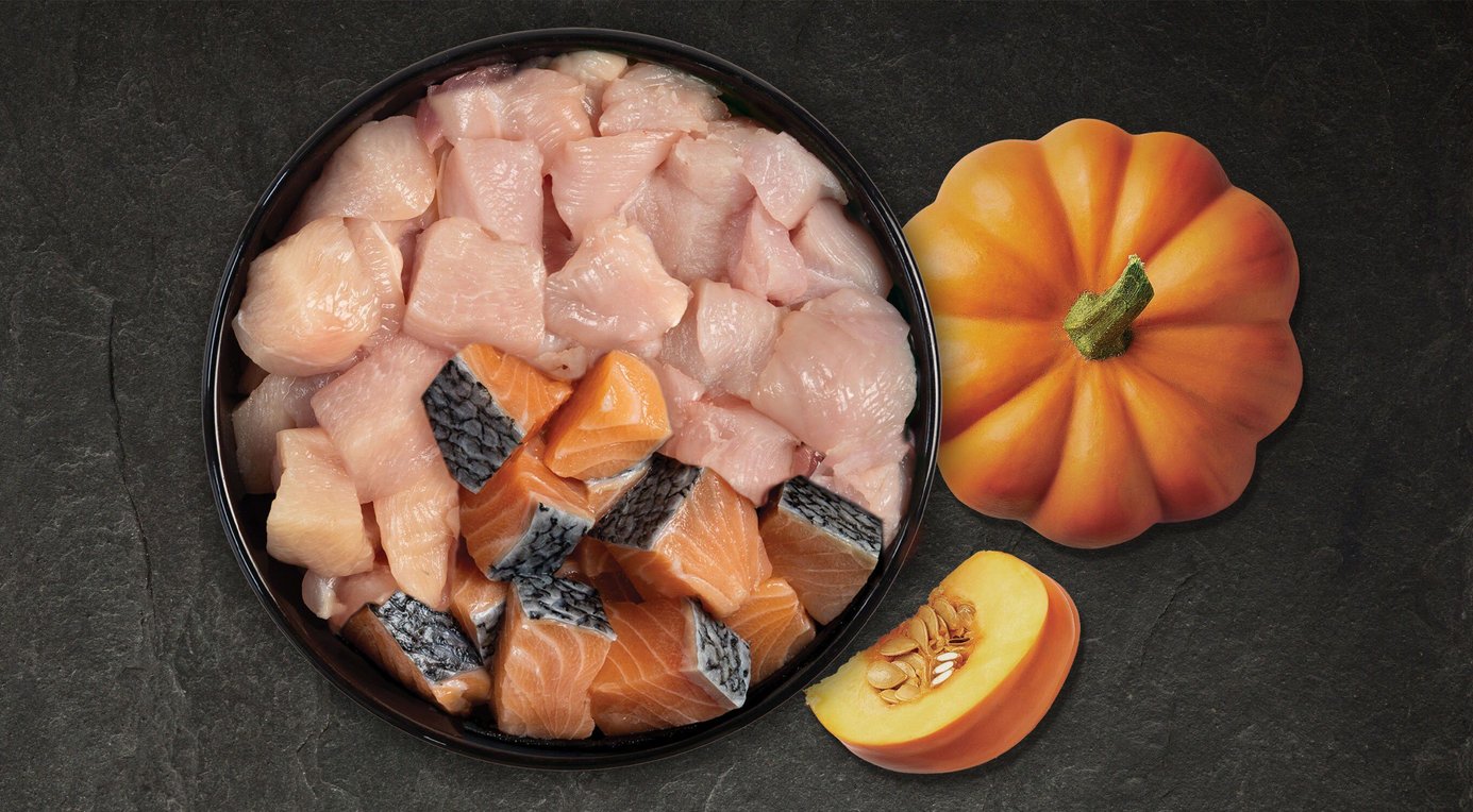 ACANA Premium Chicken & Tuna in Bone Broth Pate Kitten Wet Cat Food