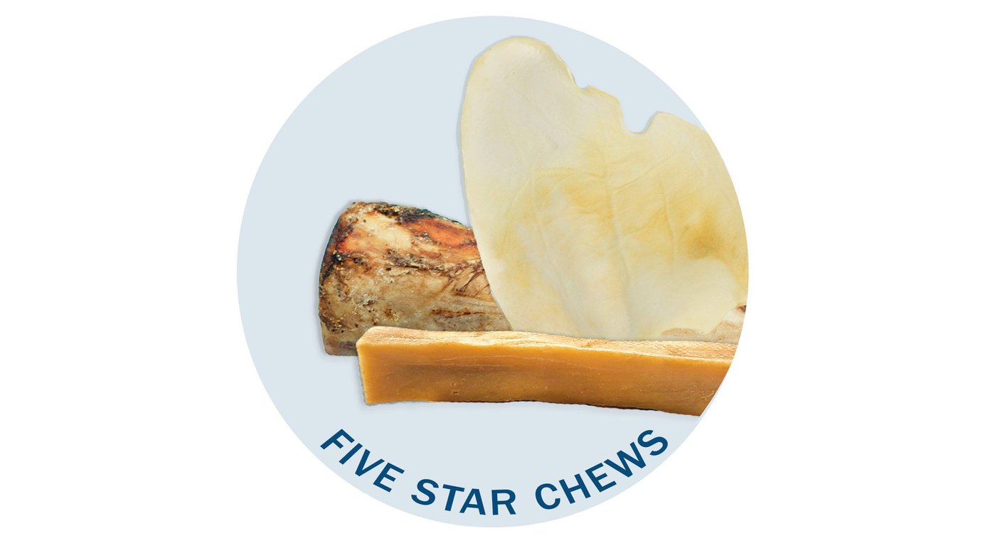 Best Bully Sticks for a Healthy Treat