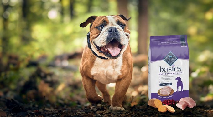 Blue Buffalo Basics Skin & Stomach Care Grain-Free Formula Duck & Potato Recipe Adult Dry Dog Food