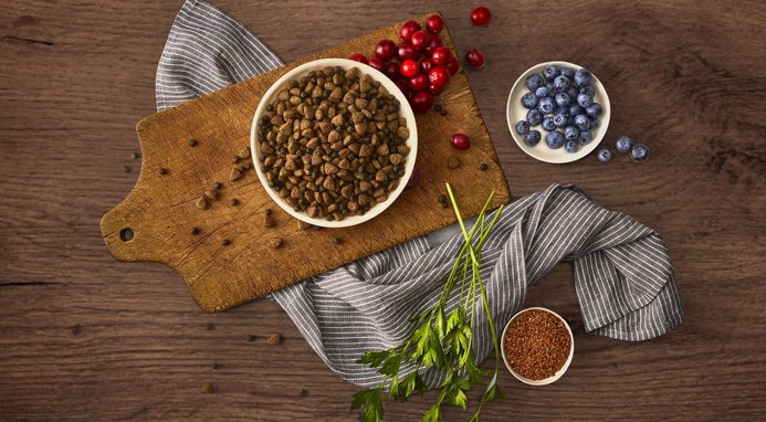 Blue Buffalo Wilderness Salmon Recipe Adult High-Protein Grain-Free Dry Dog Food