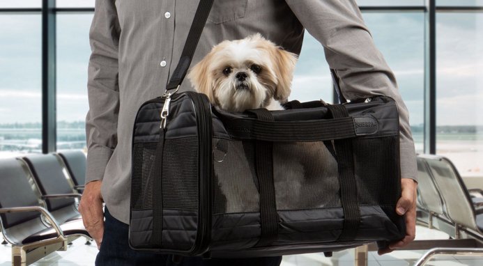Sherpa delta pet carrier sale