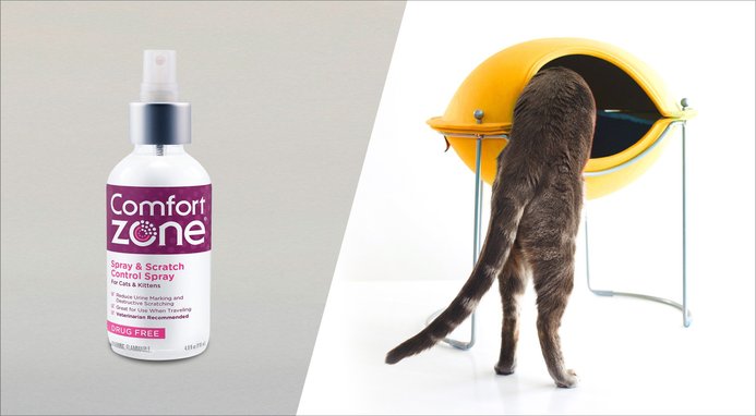 COMFORT ZONE Spray Scratch Control Calming Spray for Cats 4 oz Chewy