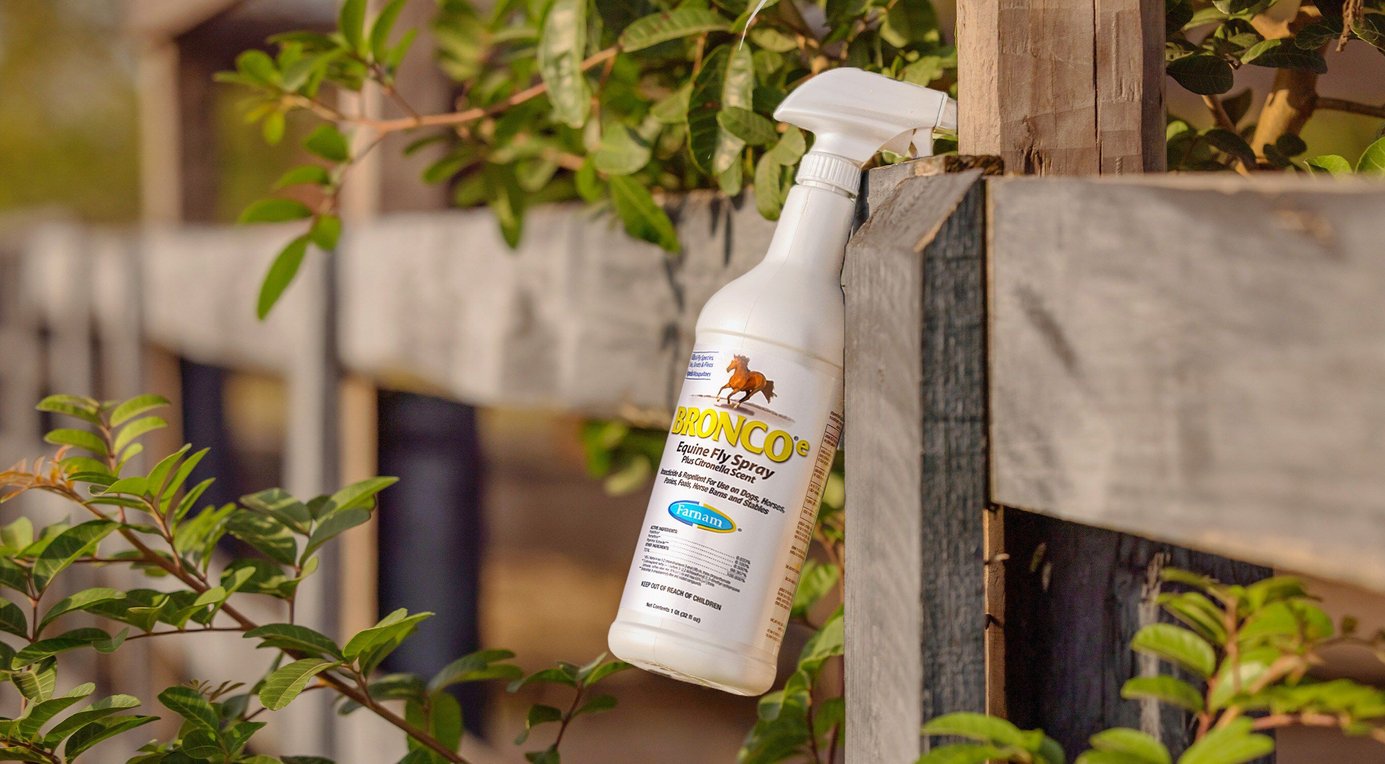 FARNAM Bronco e Citronella Scented Equine Fly Spray, 1gal bottle