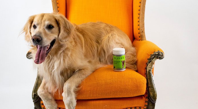 Deals glyde joint supplement for dogs