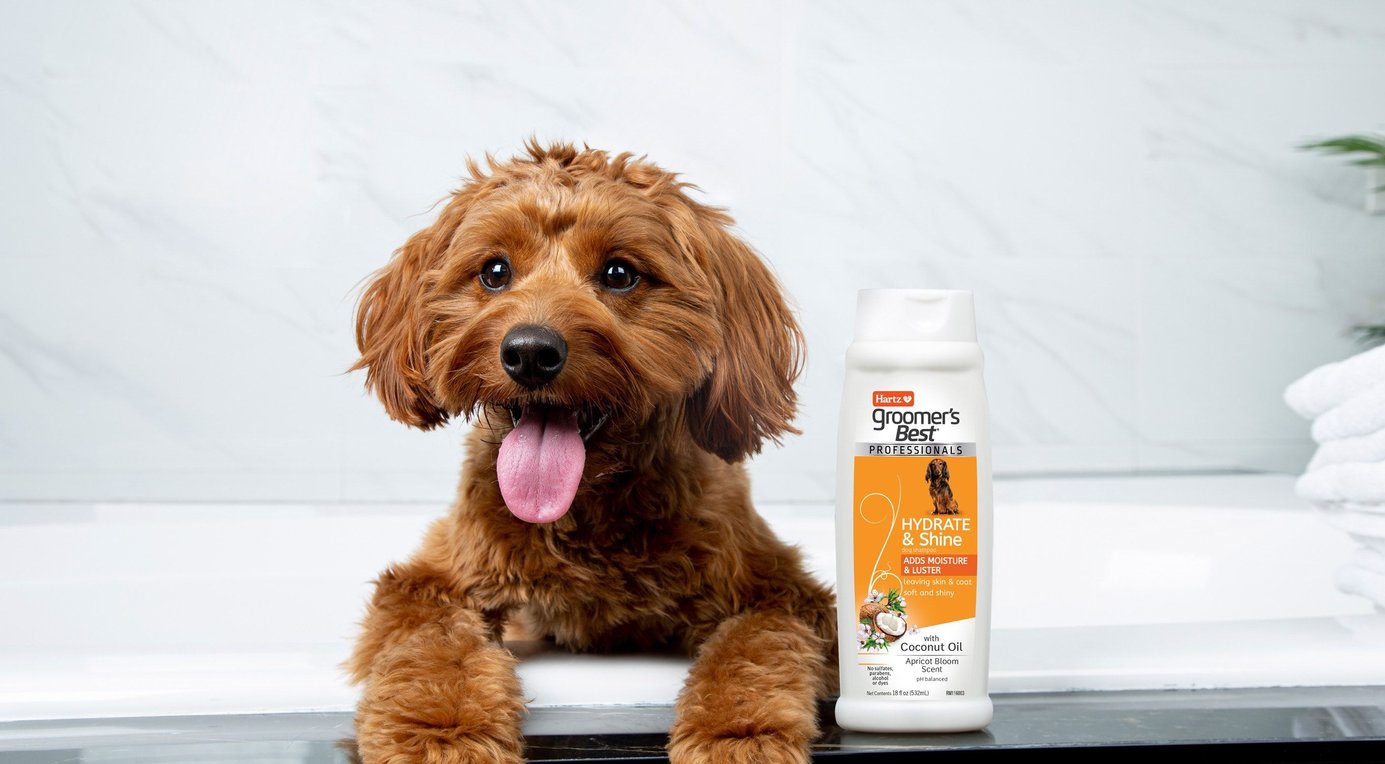 Hartz Groomer's Best Professionals Itch Soothing with Honey Extract & Aloe Vanilla Coconut Scent Dog Shampoo