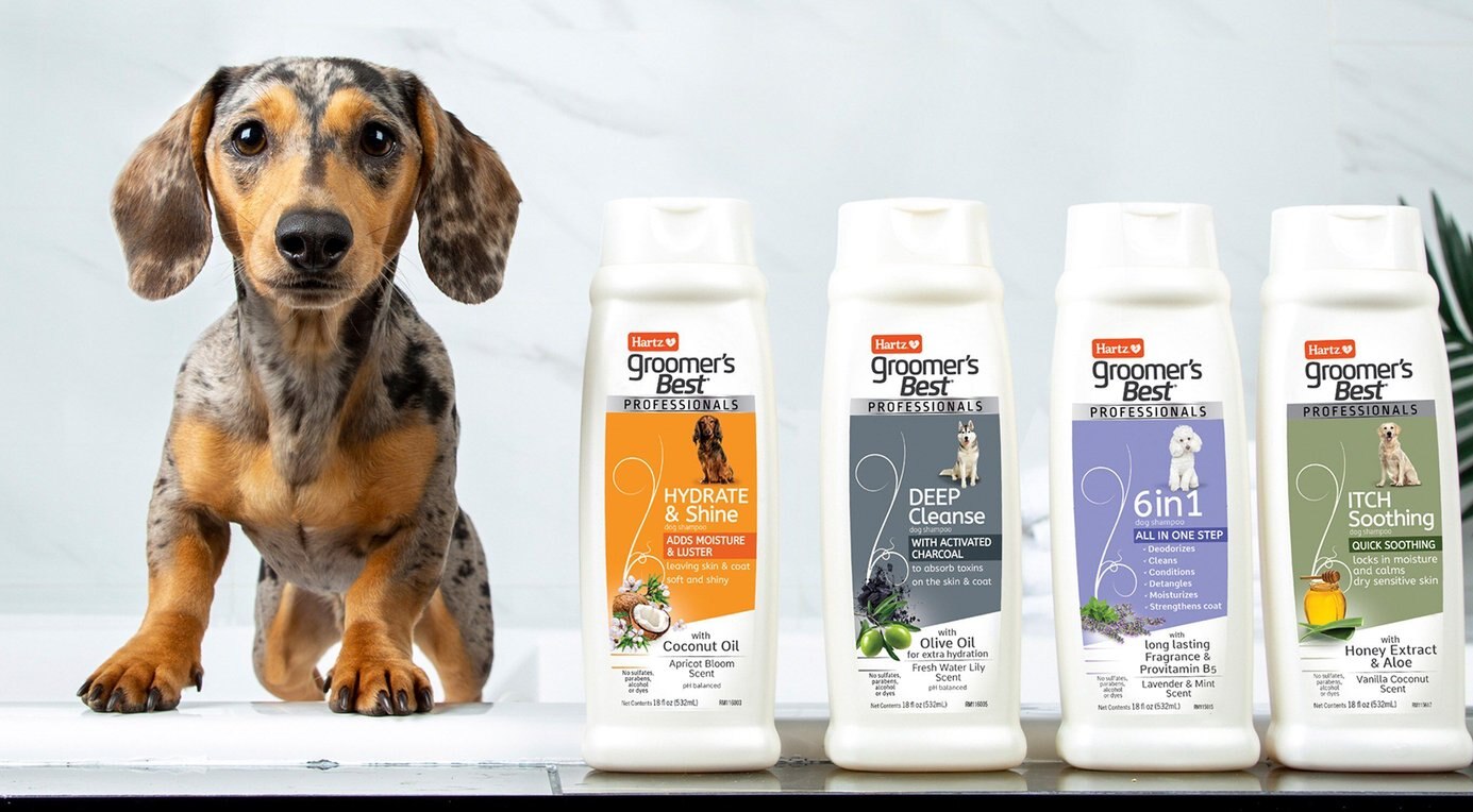 HARTZ Groomer's Best Slicker Brush for Dogs & Cats