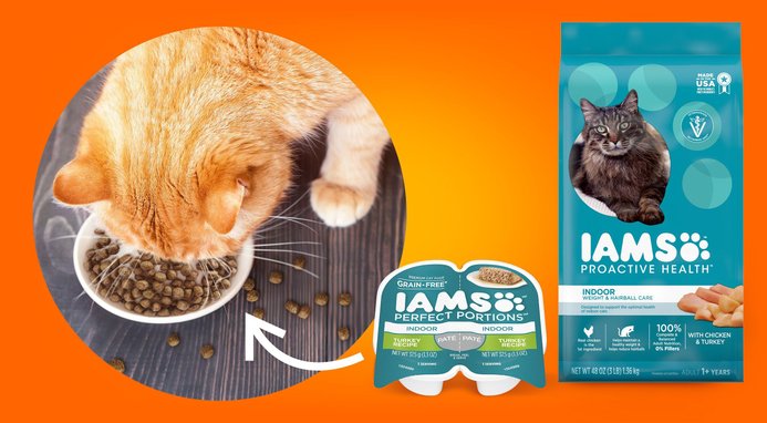 IAMS ProActive Health Indoor Weight Hairball Care Adult Dry Cat Food 16 lb bag Chewy