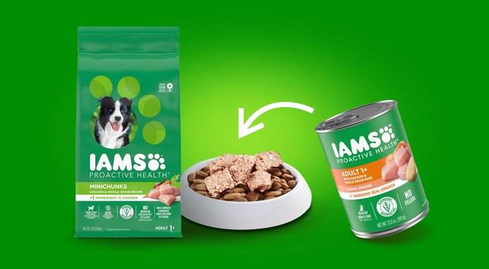 IAMS Proactive Health Minichunks with Real Chicken Whole Grains