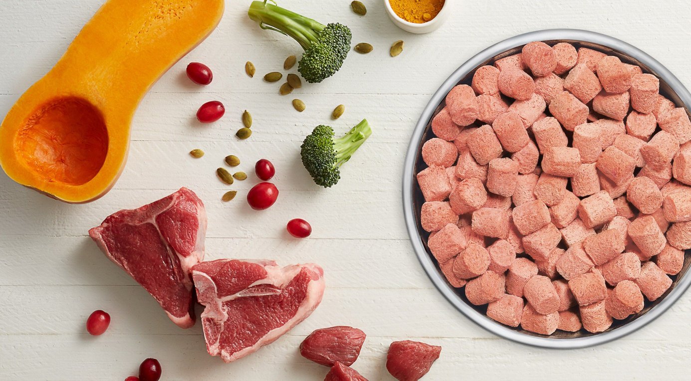 INSTINCT Raw Boost Mixers Gut Health Recipe GrainFree FreezeDried Dog