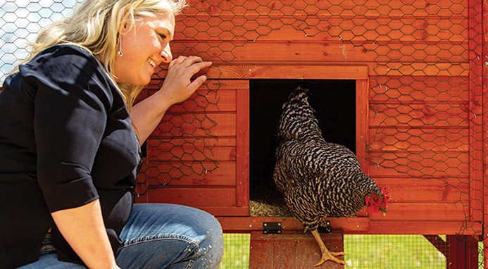 Kalmbach Feeds All Natural 17% Protein Layer Crumbles Chicken Feed
