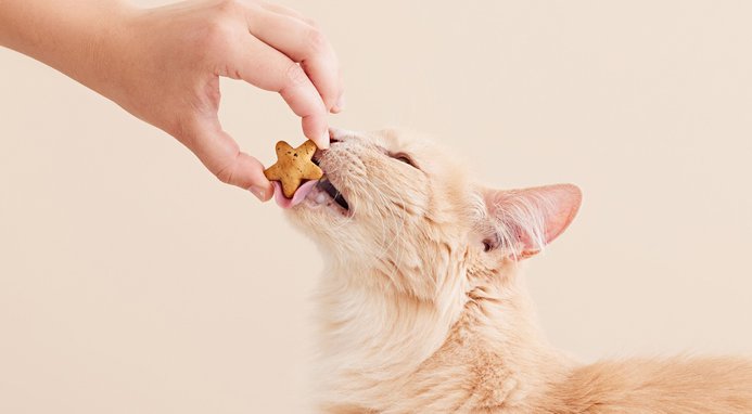 Meowee! Starry Spinners with Real Chicken, Chicken Liver & Catnip Crunchy Cat Treat