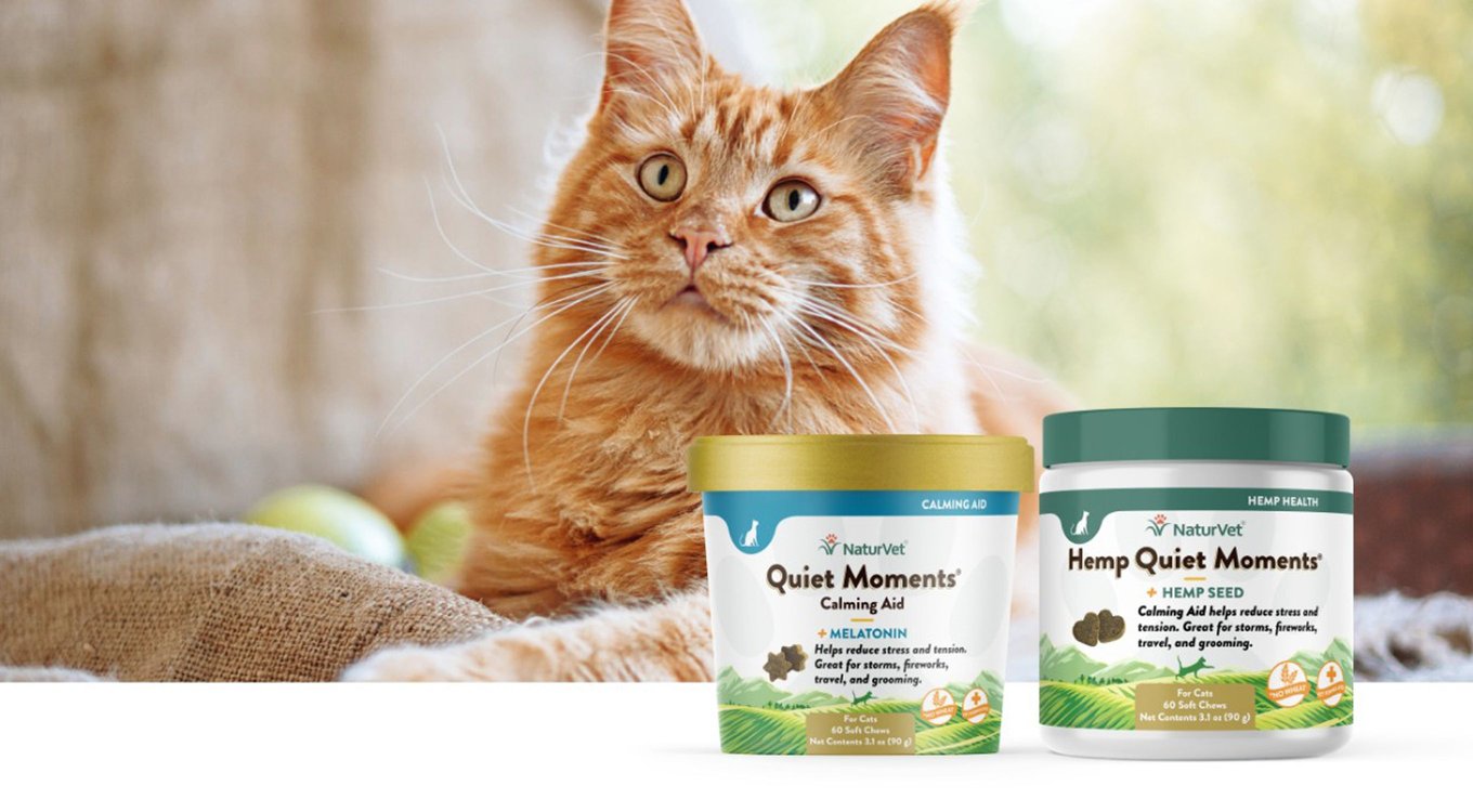 NaturVet Quiet Moments Calming Aid Plus Ginger Cat Gel