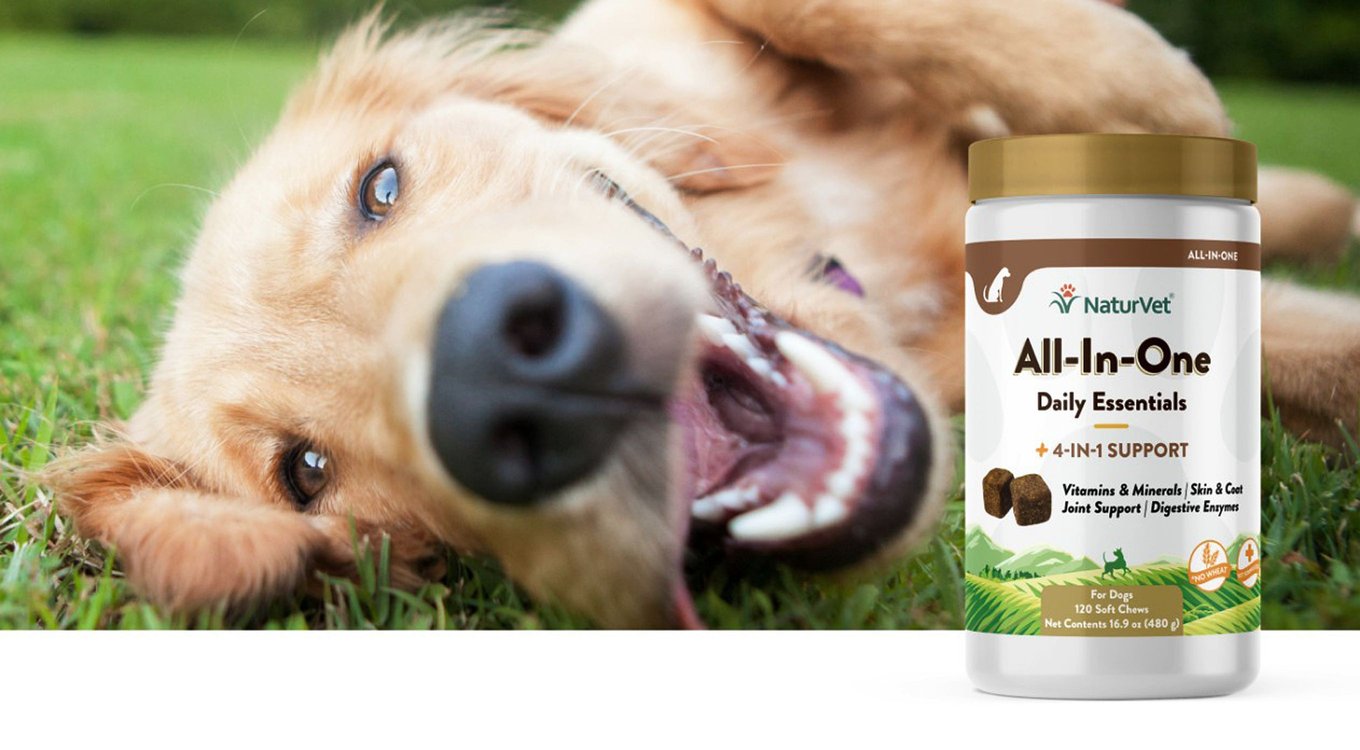 NaturVet All-In-One Hickory Smoked Bacon Flavor Soft Chew Daily Care Supplement for Dogs, 60 count