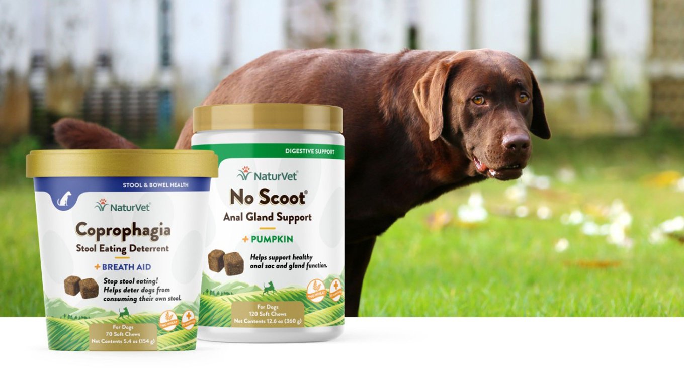 NaturVet Emotional Support Hickory Smoked Bacon Flavor Calming Supplement for Dogs