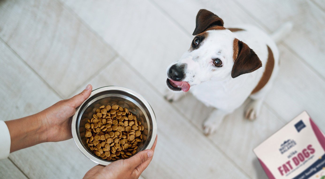 Feed Your Best Friend Better: Easy, Nutritions Meals & Treats for Dogs