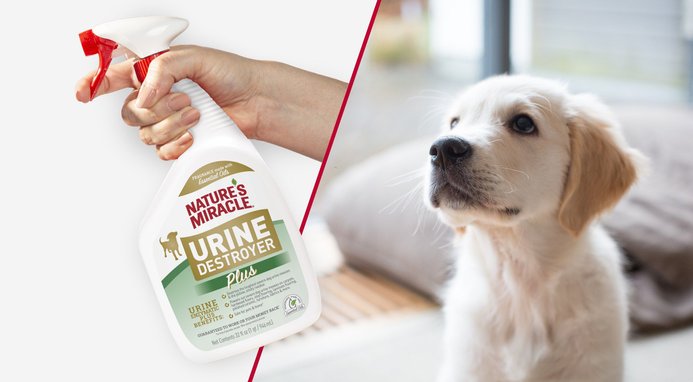 NATURE S MIRACLE Odor Control Formula Cat Stain Odor Remover Spray 32 fl oz bottle Chewy
