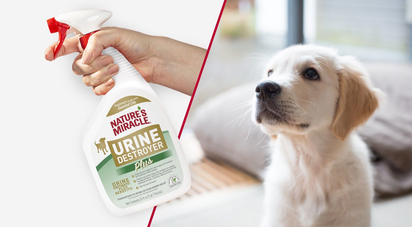 New Version Available NATURE'S MIRACLE Cat Urine Destroyer, 32oz