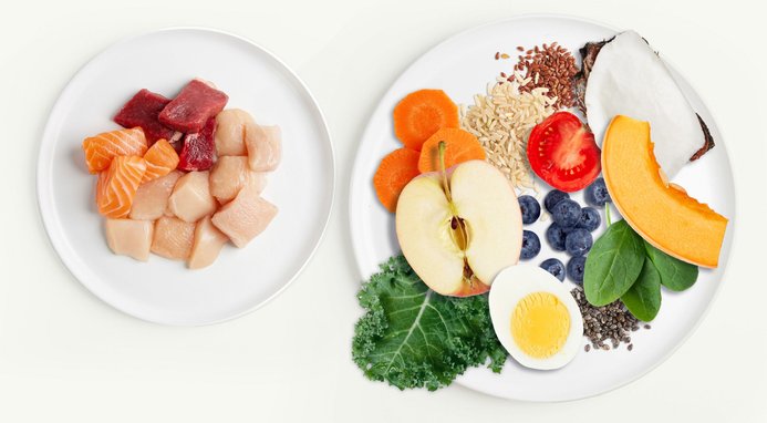 Nutro Ultra Adult Weight Management Chicken, Lamb & Salmon Recipe Dry Dog Food