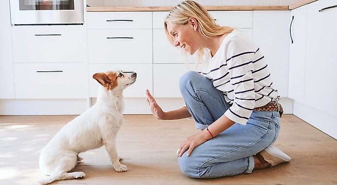 Nutro Ultra Adult Weight Management Chicken, Lamb & Salmon Recipe Dry Dog Food