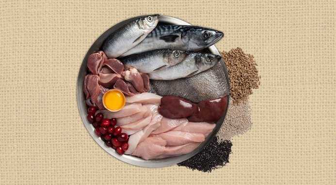 ORIJEN Amazing Grains Original Dry Dog Food