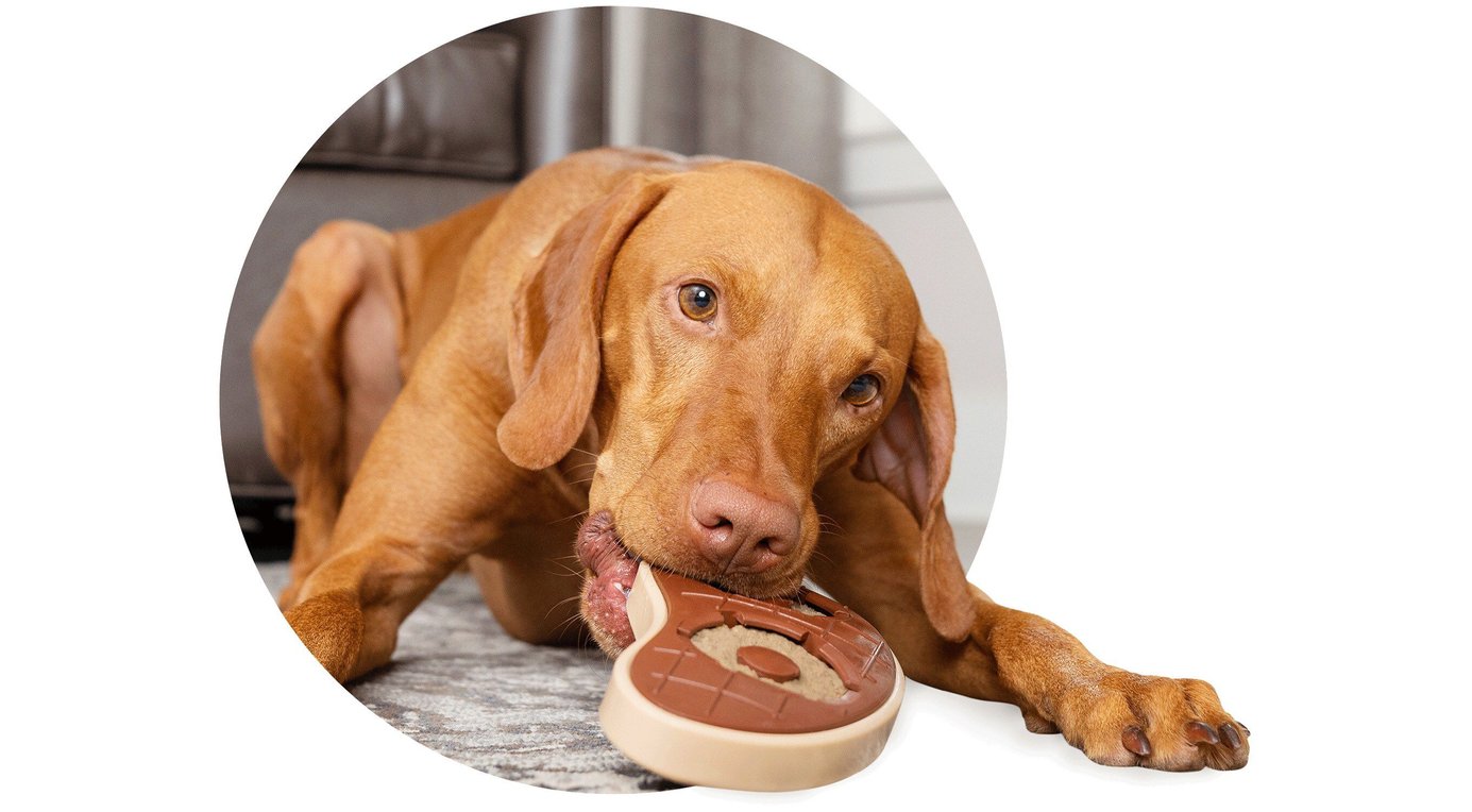 PETSAFE Extreme Weather Energy Efficient Pet Door, Large