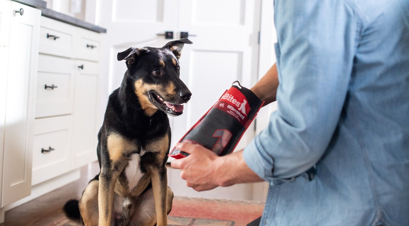 PUREBITES Chicken Breast Air Dried Jerky Dog Treats, 21.1oz bag