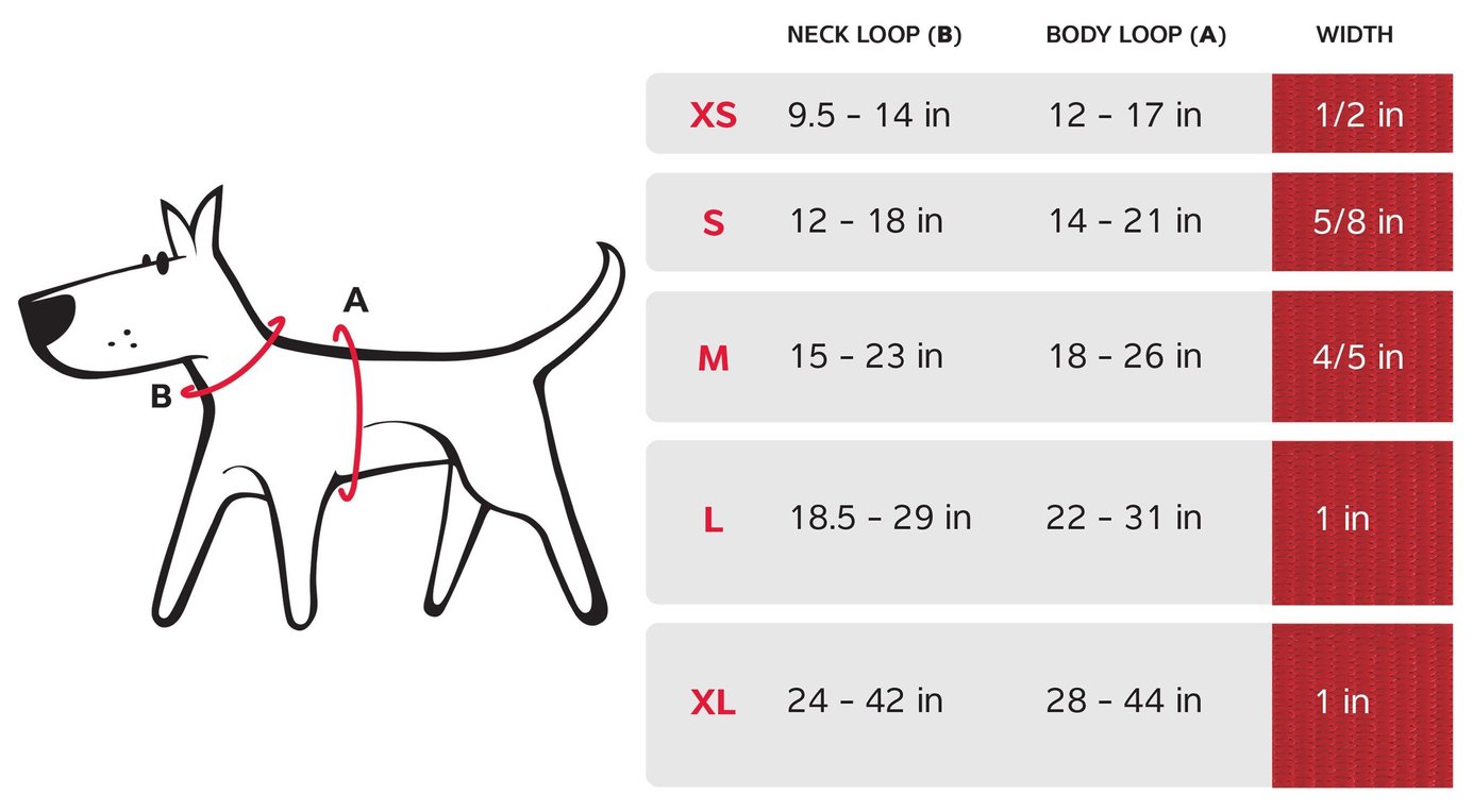 RED DINGO Padded Dog Harness, Hot Pink, Extra Small - Chewy.com