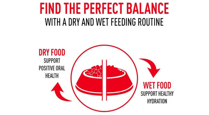 Royal Canin Veterinary Diet Adult Urinary SO Moderate Calorie Dry Cat Food